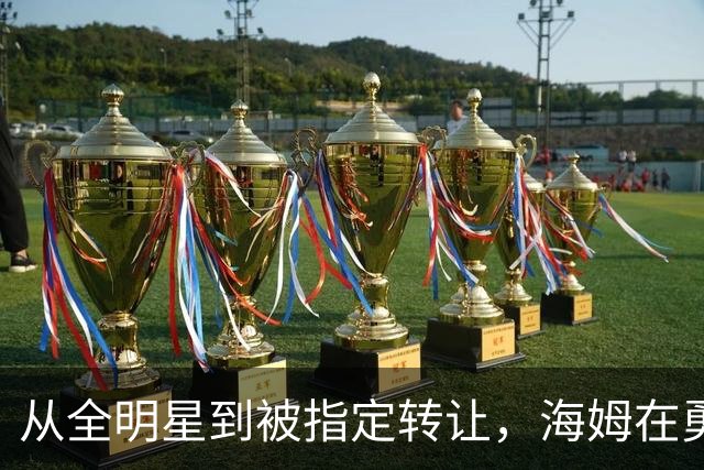 从全明星到被指定转让，海姆在勇士只打了12场