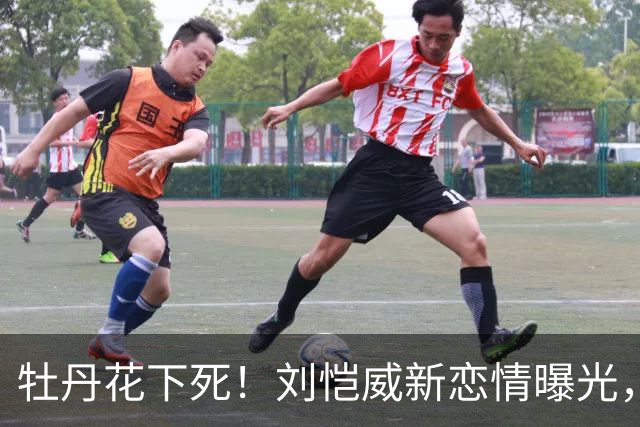 牡丹花下死！刘恺威新恋情曝光，女方身份被扒，没给杨幂留一丝体面