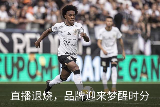 直播退烧，品牌迎来梦醒时分