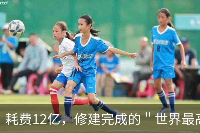 耗费12亿，修建完成的＂世界最高佛＂，如今却拜不起，水喝不起