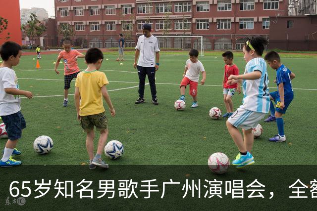 65岁知名男歌手广州演唱会，全额退款；原定看台票最高1080元
